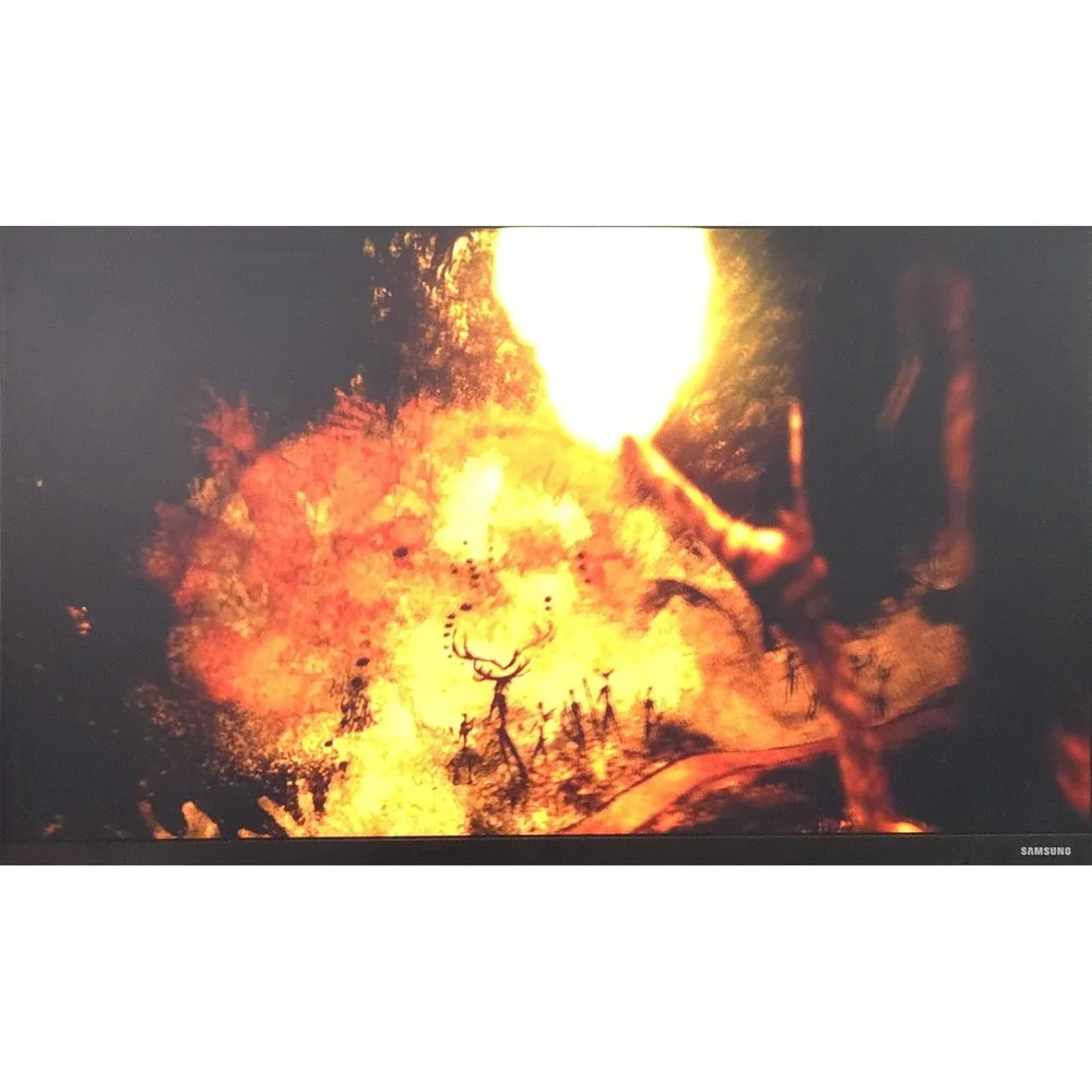 Far Cry Primal Bonus Edition (Sony PlayStation 4 PS4) CIB Tested & Working